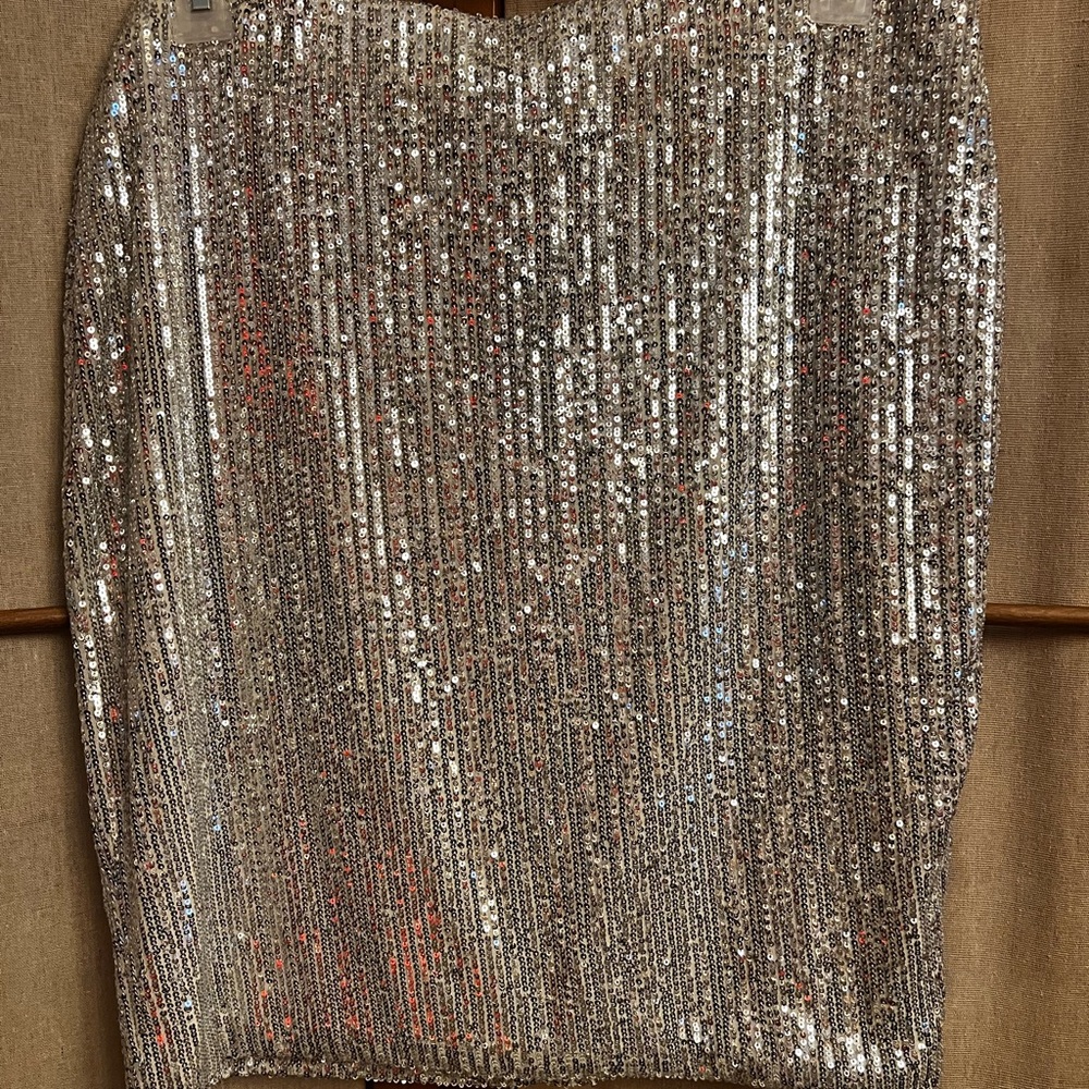Silver Sequin Skirt